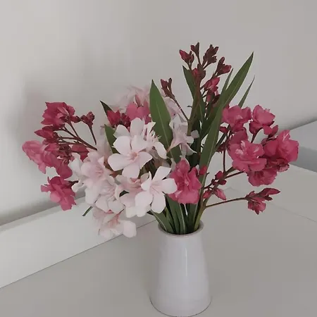 Sea Wind Stanza Con Garage E Ascensore 3*